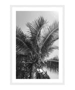 Black And White Coconut Tree Poster, Palm Tree Wall Art, Black And White Beach Print