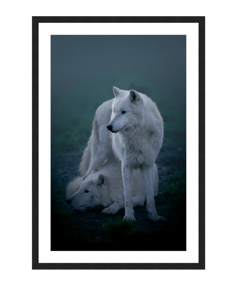 Couple Wolves Poster, Animal Wall Art