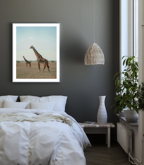 Herd of Giraffe Poster, Animal Wall Art