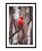 Northern Cardinal Bird Poster, Cardinal Bird Art, Wildlife Decor