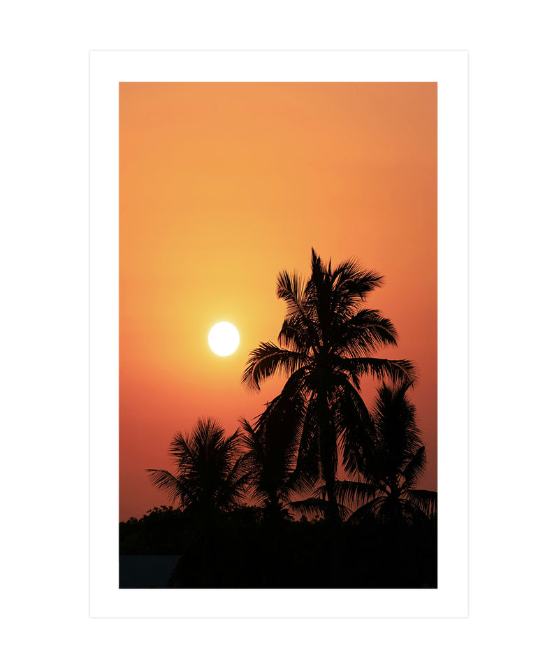 Sunset over Palm Tree Poster, Palm Tree Wall Decor Print, Palm Tree Wall Art