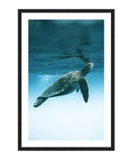 Flying Turtle Poster, Animal Wall Art, Sea Wall Decor