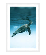 Flying Turtle Poster, Animal Wall Art, Sea Wall Decor