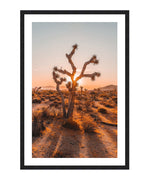 Joshua Tree Cactus Poster, Desert Plant Wall Art, Cactus Tree Decor Print