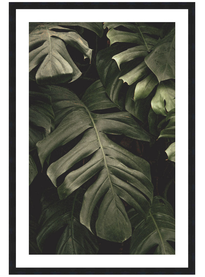 Monstera No. 2 Poster, Plant Leaf Wall Art, Monstera Plant Photography Print