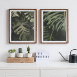 Monstera No. 2 Poster, Plant Leaf Wall Art, Monstera Plant Photography Print