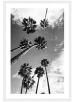 Black & White Palm Tree Poster, Palm Tree Wall Art, Beach Tree Print