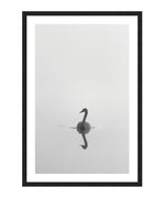 Swan Black and White Poster, Animal Wall Art
