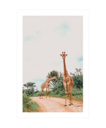 Two Giraffes Poster, Animal Wall Art