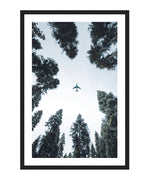 Airplane Above Trees Print, Plane Underneath Wall Art, Airplane Forest Photograph Print