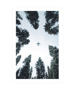 Airplane Above Trees Print, Plane Underneath Wall Art, Airplane Forest Photograph Print