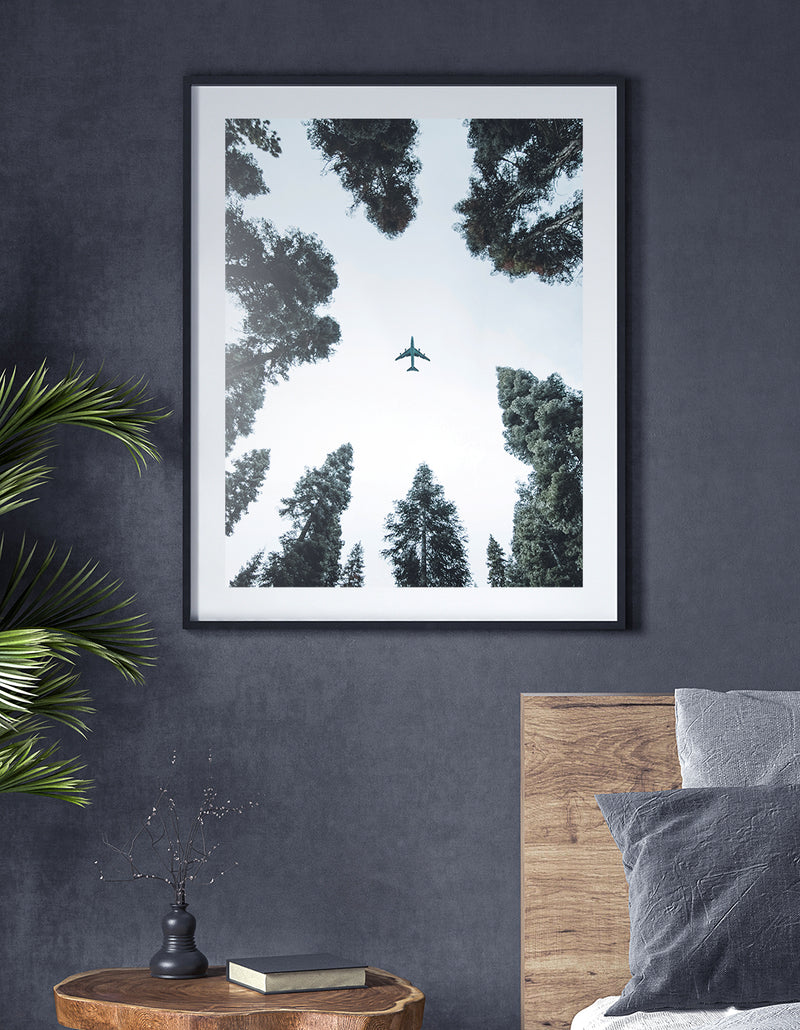 Airplane Above Trees Print, Plane Underneath Wall Art, Airplane Forest Photograph Print