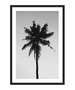 Black And White Palm Tree Poster, Palm Tree Wall Art, Black And White Beach Print