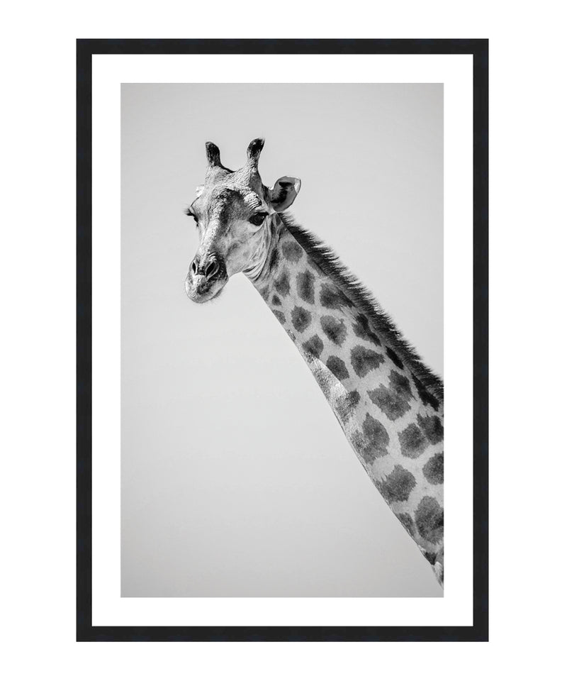 Black & White Giraffe Poster, Giraffe Photo Wall Art, Safari Print