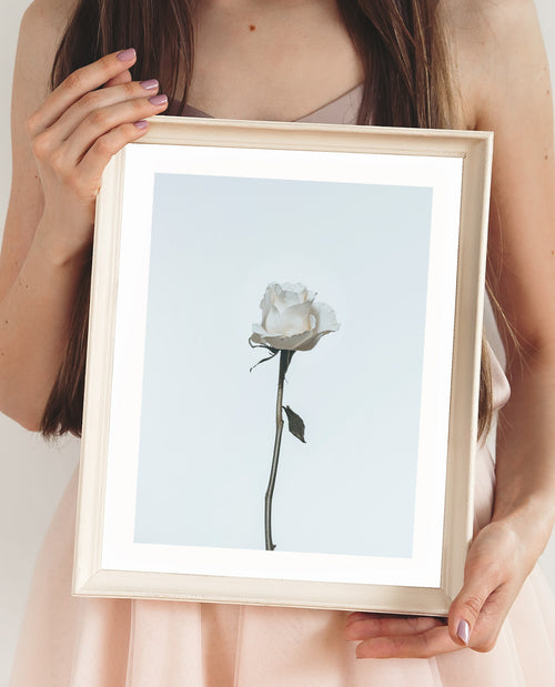Single White Rose Poster, White Rose Wall Art, Girls Room Flower Decor Print