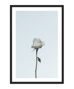 Single White Rose Poster, White Rose Wall Art, Girls Room Flower Decor Print