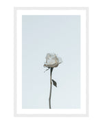 Single White Rose Poster, White Rose Wall Art, Girls Room Flower Decor Print