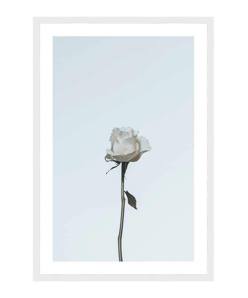 Single White Rose Poster, White Rose Wall Art, Girls Room Flower Decor Print