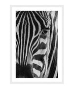 Black & White Zebra Poster, Zebra Close up Photo Wall Art, Safari Print